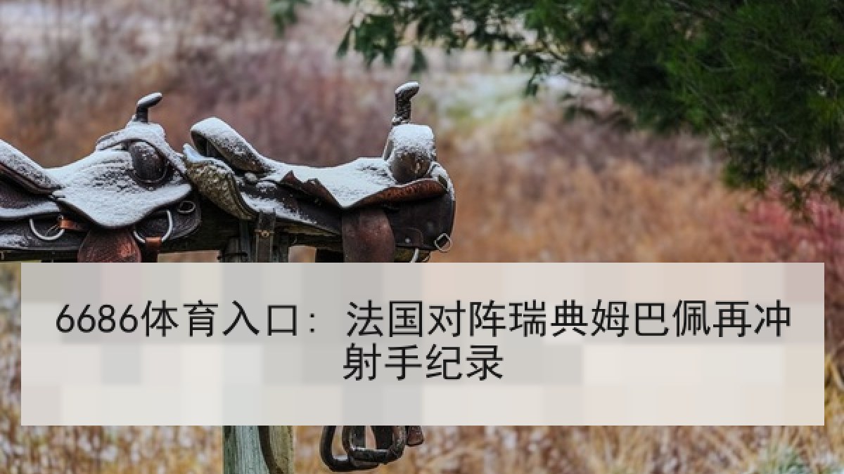 6686体育入口: 法国对阵瑞典姆巴佩再冲射手纪录