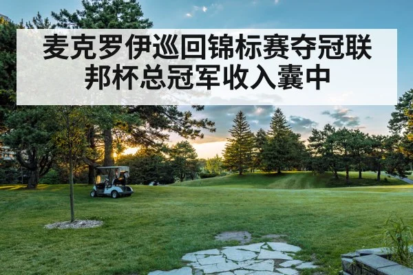 麦克罗伊巡回锦标赛夺冠联邦杯总冠军收入囊中